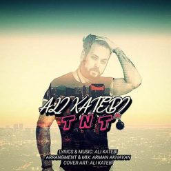 Ali Katebi   –  Tnt